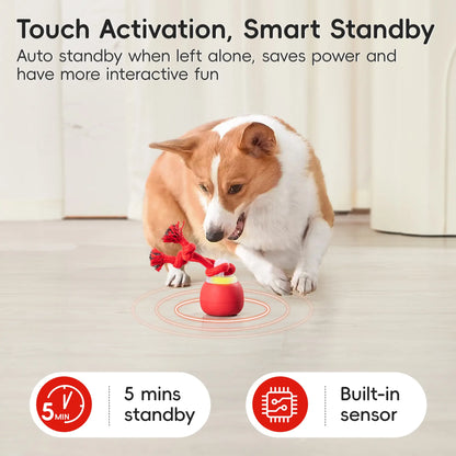 Potaroma Touch Activated Rechargeable Dog Ball Toy, Squeaky Interactive Moving Ball with Rope, USB Charging Auto Rolling Training Ball for Puppy Small Medium Dogs Dark Red