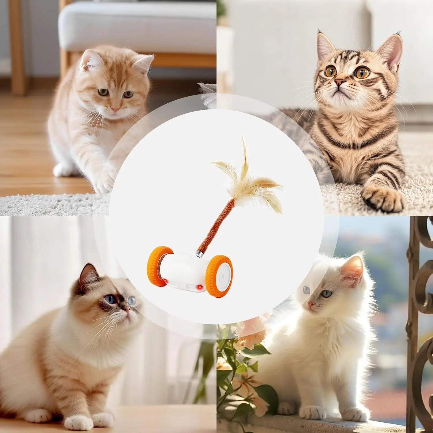 Auto-Steering Smart Cat Toy,Glowing Night-Play LED With,Fluttering Feather,180° Flip and Anti-Stuck Technology,Intelligent Path Routing,Touch-Activated Self-Moving Toy, Long Battery Life and Safe Textures,Suitable for All Cat Breeds and Ages, Led Lighting