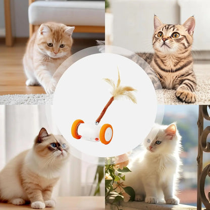 Auto-Steering Smart Cat Toy,Glowing Night-Play LED With,Fluttering Feather,180° Flip and Anti-Stuck Technology,Intelligent Path Routing,Touch-Activated Self-Moving Toy, Long Battery Life and Safe Textures,Suitable for All Cat Breeds and Ages, Led Lighting